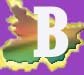 BCECE official department logo