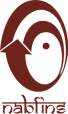 NABFINS official department logo