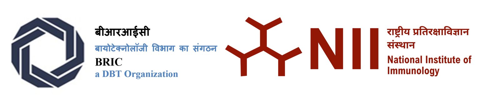 NII official logo
